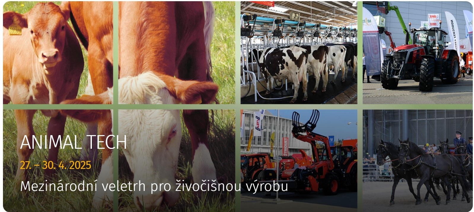 międzynarodowe targi produkcji zwierzęcej